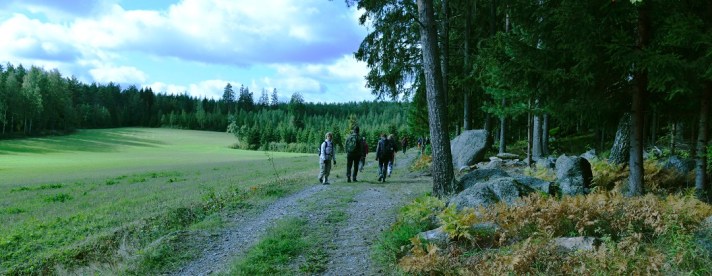 Kävelijöitä soratiellä pellon ja havumetsän välissä.