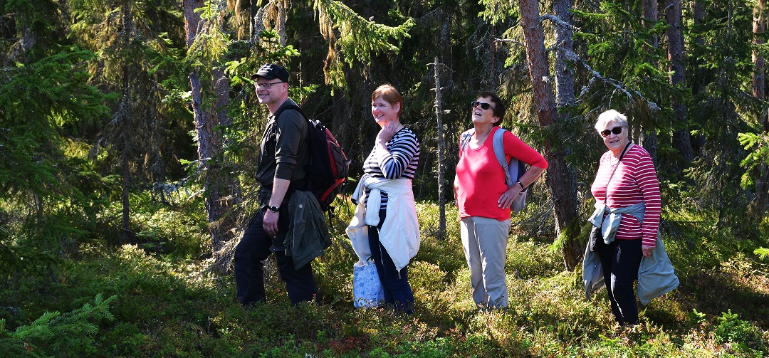 Neljä iloista reitkeilijää havumetsässä, valoa ja varjoa. Kuvattu Iso-Enskerin saaressa.