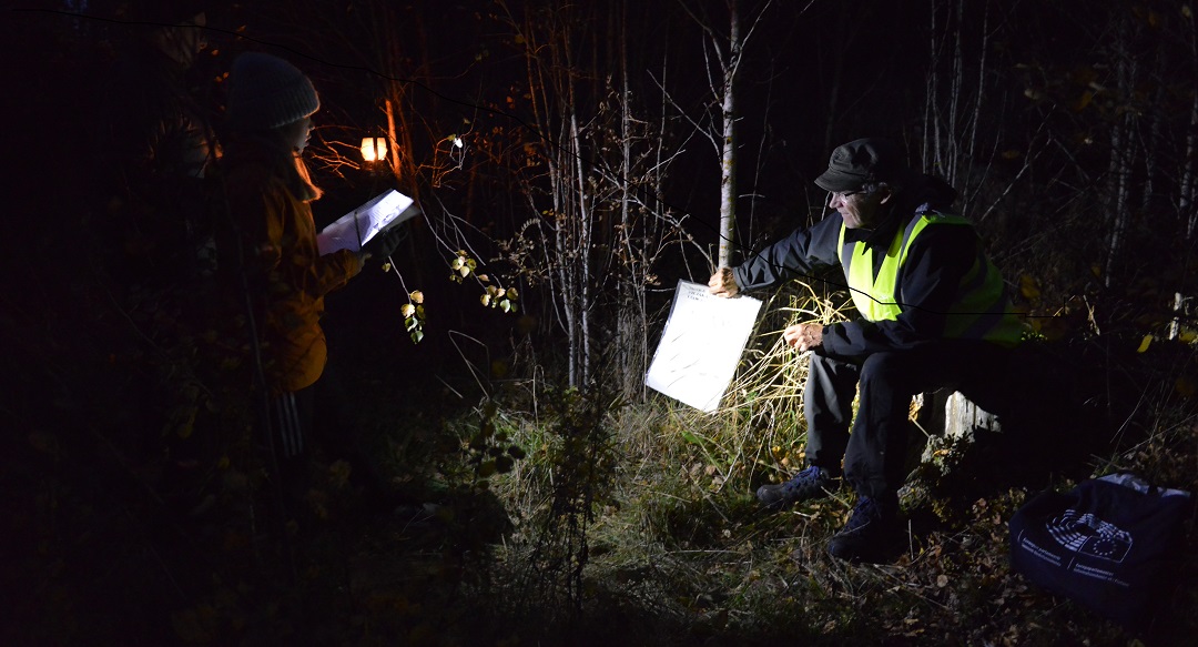 Pimeä metsä -tapahtuma: tehtävärastilla ihmisiä - pimeää, valo tulee taskulampuista.
