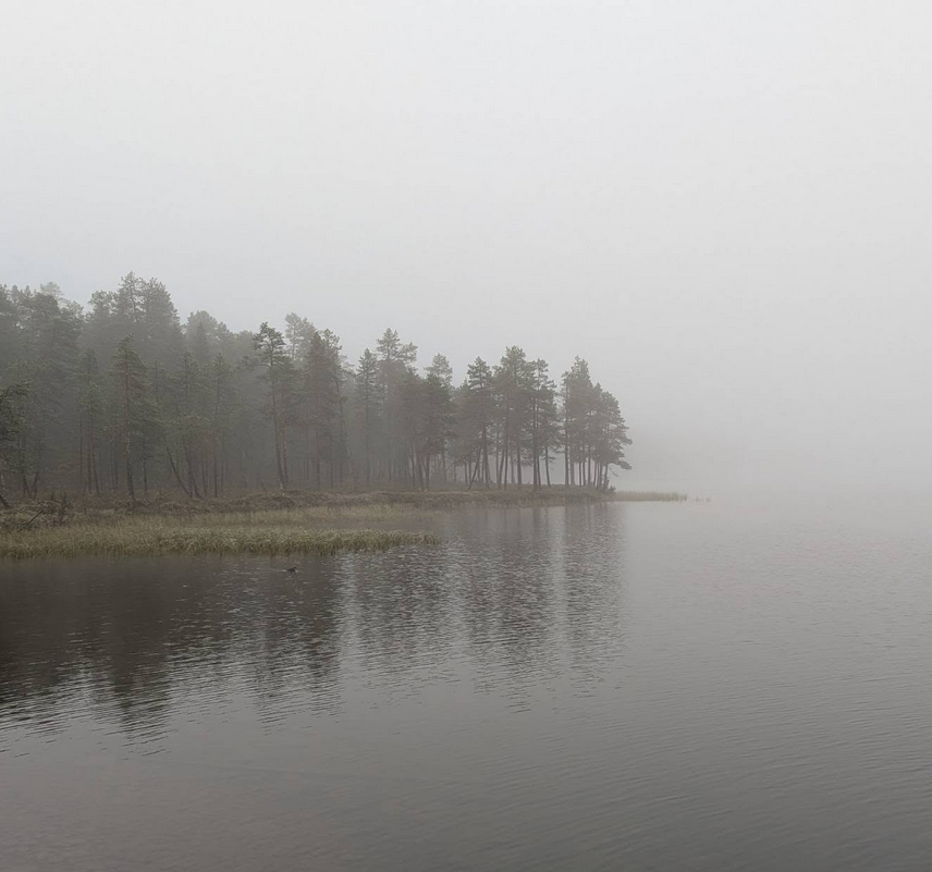 Sumu alkanut hälvetä, mäntymetsäinen saari näkyy harmaan taivaan ja vedenpinnan välissä.