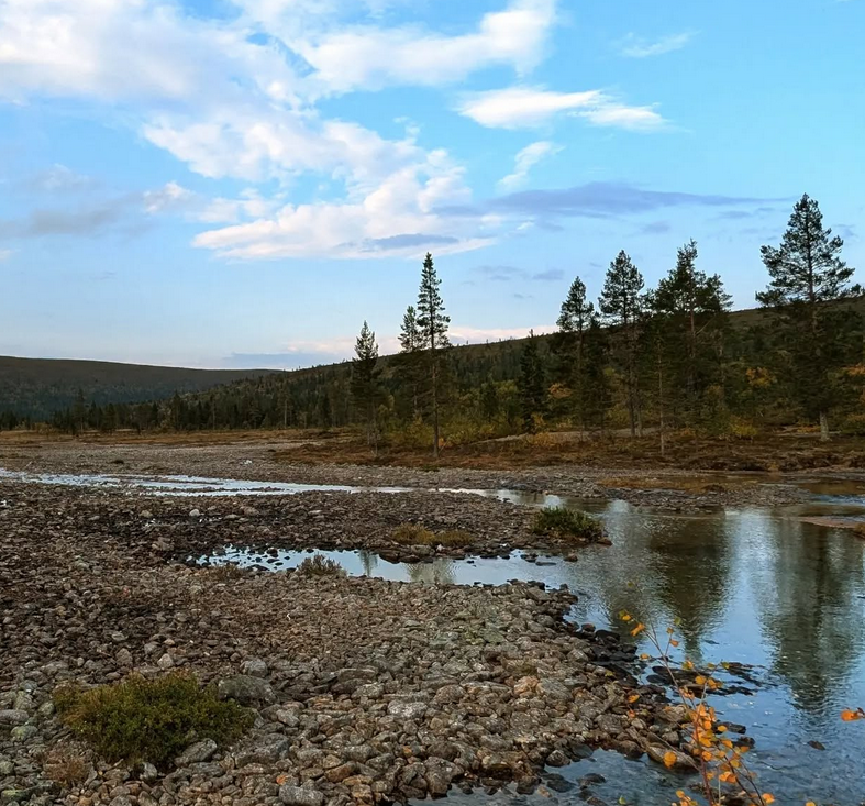Jokiuoma, jossa vesi matalalla, kivikkoista, vettä. Vastarannalla mäntyjä ja niiden takana rinne.