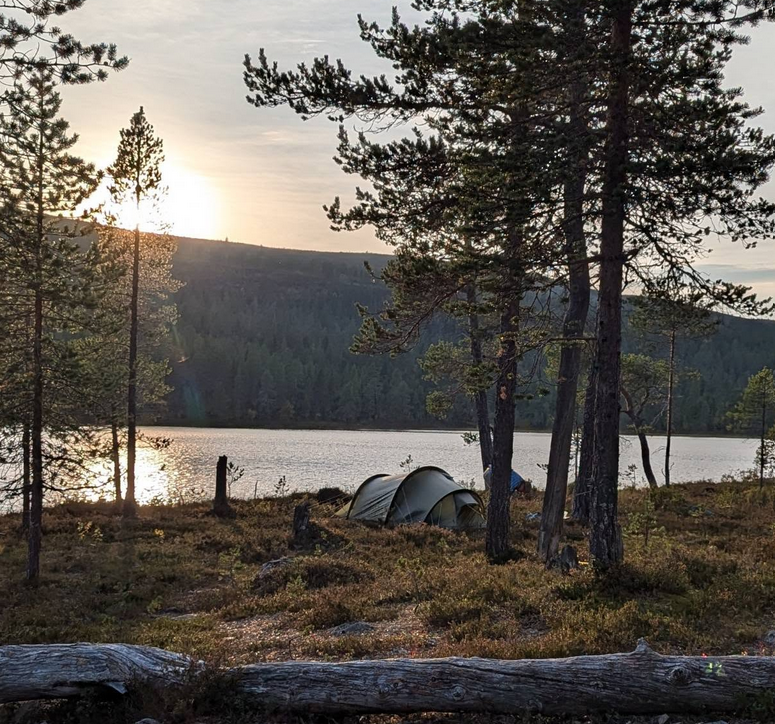 Vihreitä tunnelitelttoja erämaajärven rannalla, ilta-auringossa.