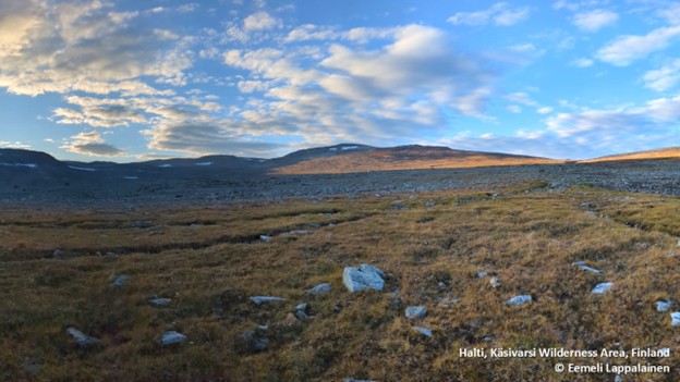 Tunturiylänköä, taustalla matalahkon näköisiä huippuja. Pilvipoutainen valoisa päivä.