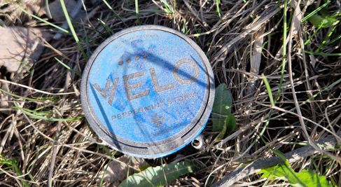 nuuskarasia roskana luonnossa