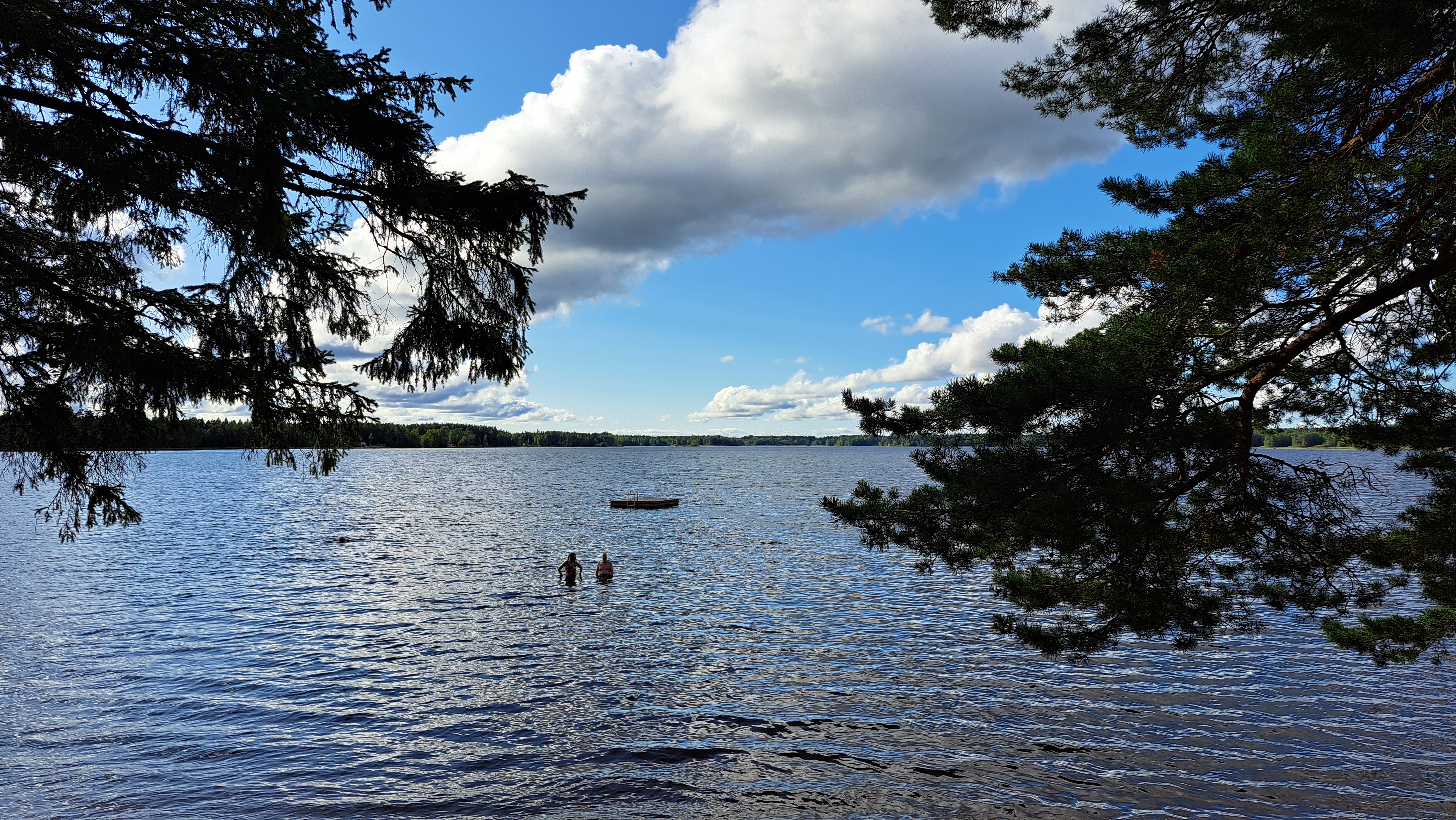 elokuun lopun ilta-aurinko järvellä, etualalla mäntyjä, jonkin matkan päässä rannasta kaksi ihmistä seisoo vedessä